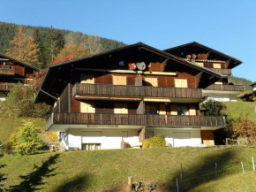 Apartment Grindelwaldgletscher 3.5 - GriwaRent AG